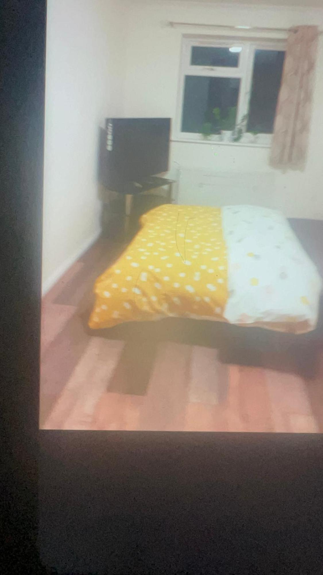 Double Alpha Apartment Лондон Екстериор снимка